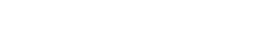 We Are: The Brooklyn Saints