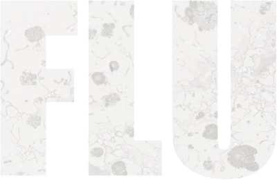 The Flu